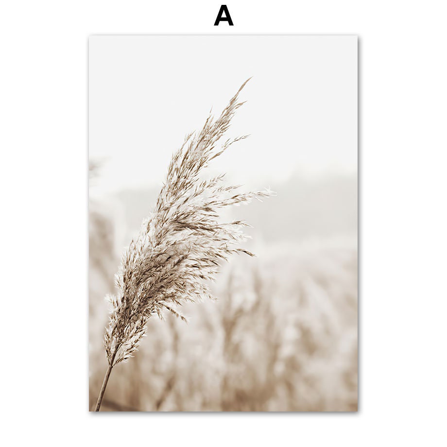 Poster Meer Pampasgras Beige Gold I Wandbilder Wohnzimmer & Schlafzimmer I Deko Print Bilder I ohne Rahmen-2