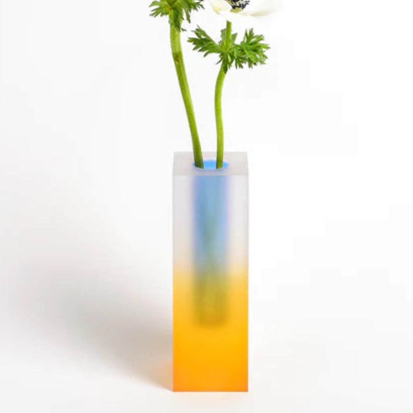 Iridescence Vase - Modern Whimsical Eclectic Decorative Table Setting Centerpiece Vase-6